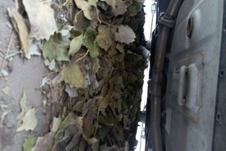 现代 索纳塔 2015款 2.4L TOP旗舰型局部细节9009