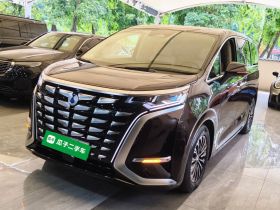 腾势D9 2024款 PIONEER 四座创领版