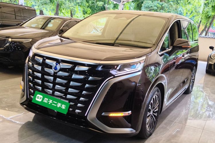 腾势D9 2024款 PIONEER 四座创领版车身外观1