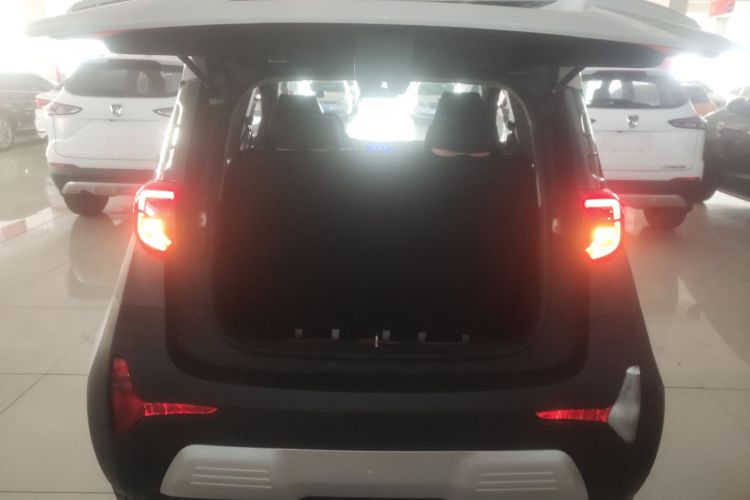 奇瑞新能源 小蚂蚁 2021款 20万蚁粉款 才气版 磷酸铁锂 301km机舱底盘23