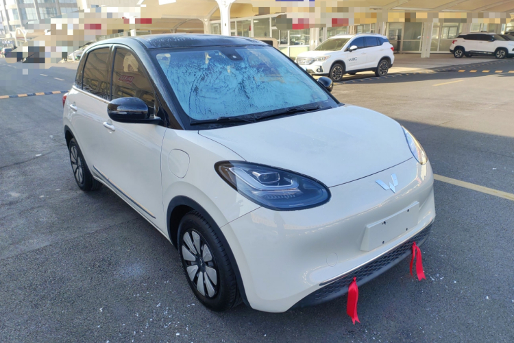 五菱汽车 五菱缤果 2023款 333km 灵犀互联款车身外观3