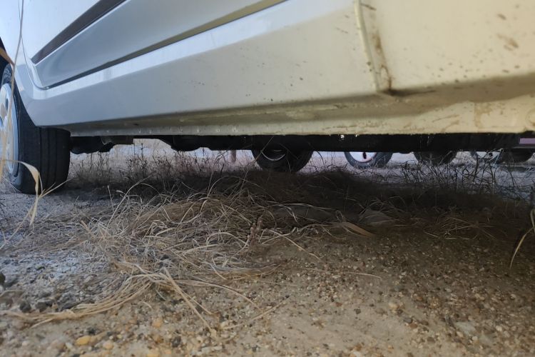 奔腾小马 2026款 222km 萌趣马 Plus局部细节9001