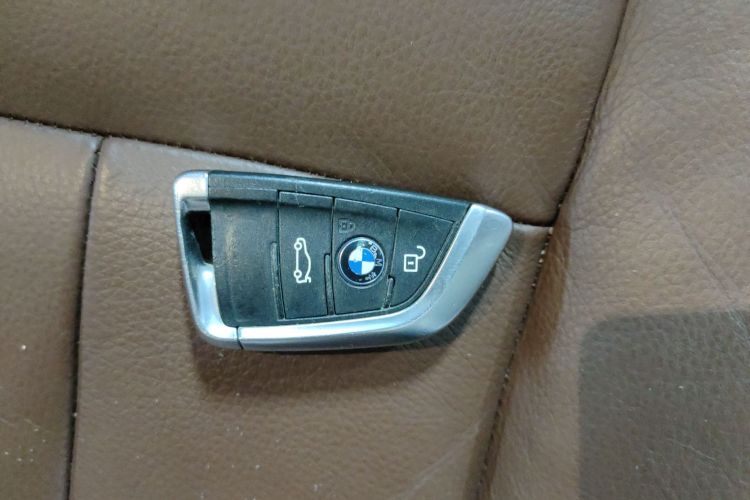 宝马X5(进口) 2014款 xDrive35i 豪华型中控内饰7001