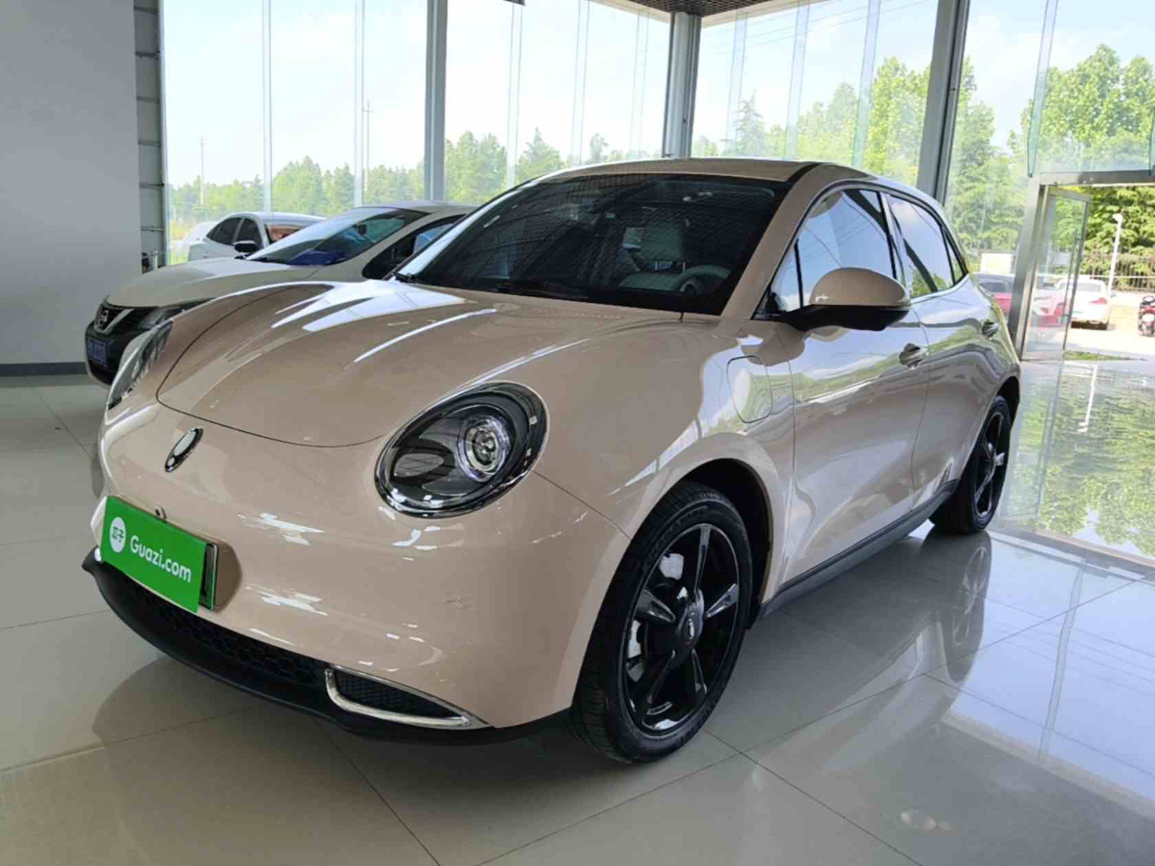 欧拉好猫 2024款 401km 豪华型(2)