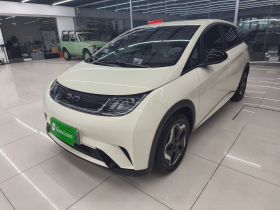 比亚迪 海豚 2025款 420km 活力版