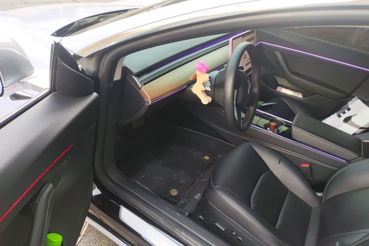 特斯拉 Model 3 2020款 标准续航后驱升级版中控内饰7003