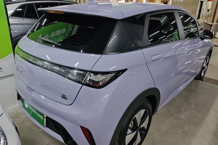 比亚迪 海豚 2023款 420km 自由版车身外观7