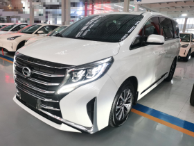 广汽传祺 传祺M8 2024款 领秀系列 390T 尊享版