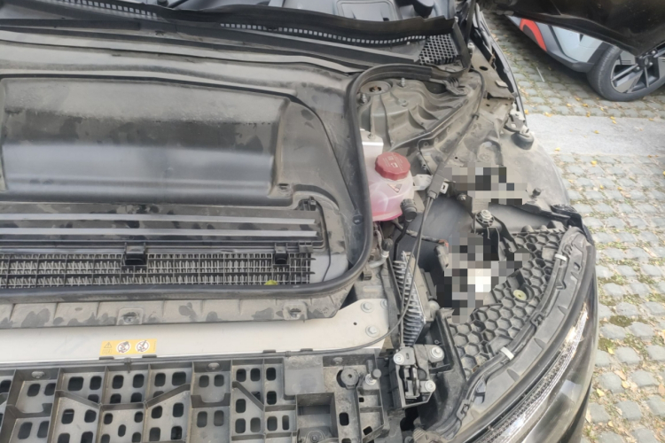 奔驰EQE 2022款 350 先型特别版局部细节9007