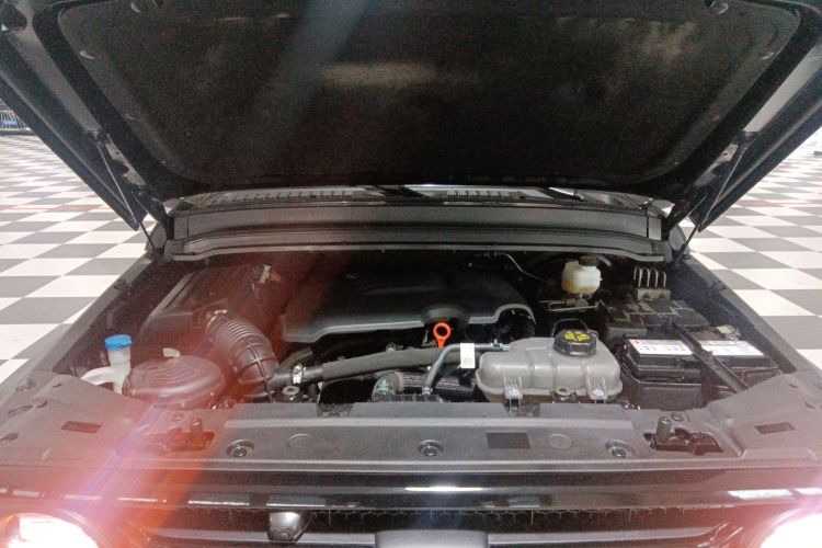 坦克300 2024款 2.0T 挑战者机舱底盘24