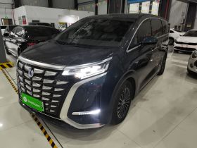 腾势D9 2022款 DM-i 1040 尊贵型