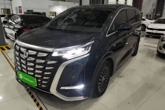 腾势D9 2022款 DM-i 1040 尊贵型