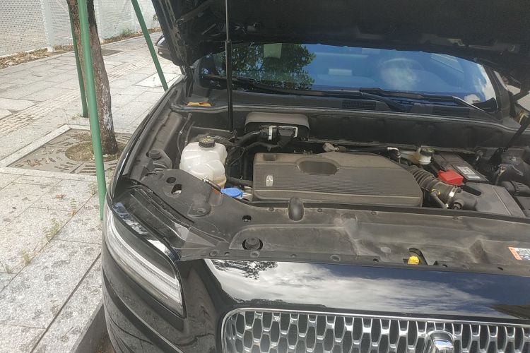 林肯 航海家 2021款 2.0T 四驱尊享版局部细节9006