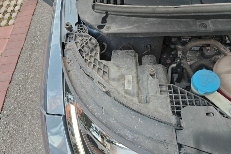 比亚迪 海豚 2023款 401km 骑士版局部细节9006