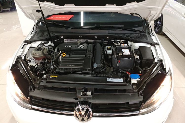 大众 高尔夫 2019款 280TSI DSG豪华型 国VI机舱底盘24