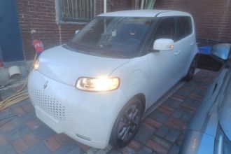 欧拉白猫 2020款 305km 豪华型