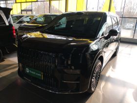 极氪009 2024款 七座过道版 108kWh