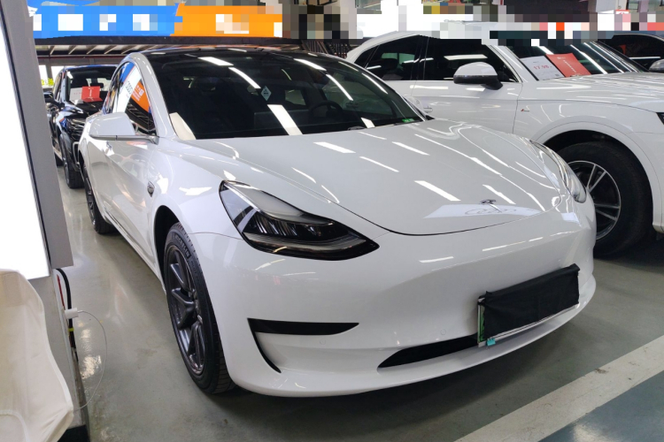 特斯拉 Model 3 2019款 标准续航后驱升级版车身外观6002