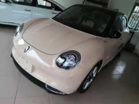 欧拉好猫 2021款 400km标准续航 雅典娜版 磷酸铁锂