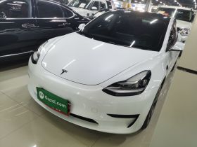 特斯拉 Model 3 2020款 标准续航后驱升级版