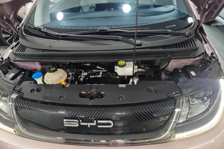 比亚迪 海豚 2021款 405km 时尚版机舱底盘24