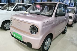 吉利银河 2024款 熊猫mini 200km 耐力熊