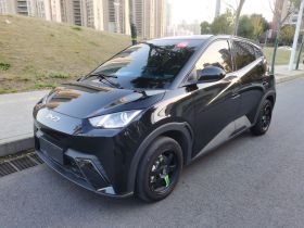 比亚迪 海鸥 2024款 荣耀版 305km 活力版