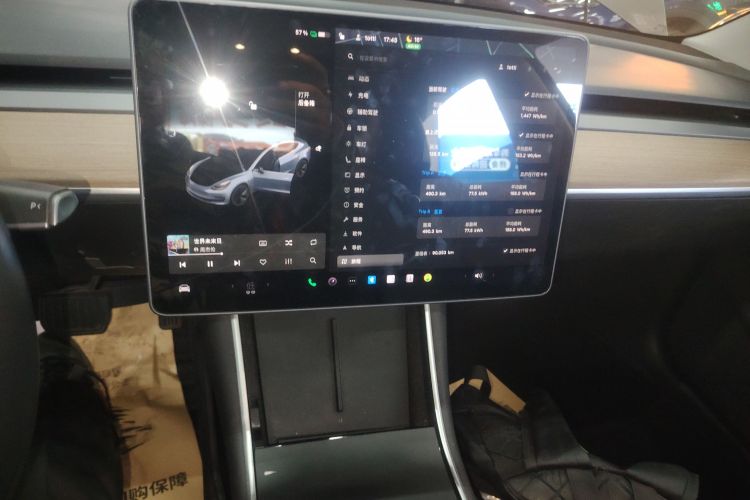 特斯拉 Model 3(进口) 2019款 长续航后驱版局部细节16