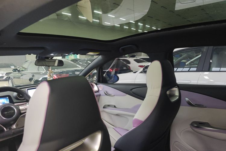 比亚迪 海豚 2021款 405km 时尚版局部细节22