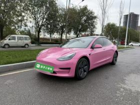 特斯拉 Model 3 2022款 后轮驱动版