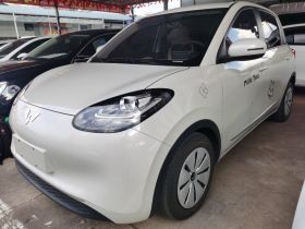 五菱汽车 五菱缤果 2023款 203km 轻享款