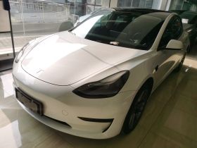 特斯拉 Model 3 2022款 后轮驱动版