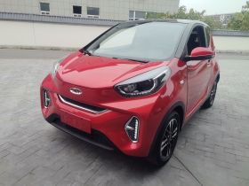 奇瑞 小蚂蚁 2022款 改款 甜粉款 半糖版 磷酸铁锂 30.7kWh 30kW 301km