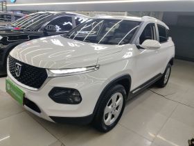 宝骏510 2019款 1.5L 手动乐享型77kW 国VI