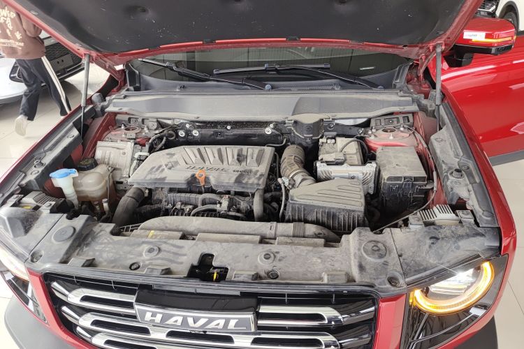 哈弗大狗 2021款 1.5T DCT两驱拉布拉多版机舱底盘24