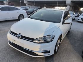 大众 高尔夫 2018款 230TSI 自动舒适型