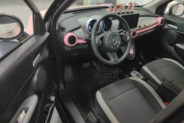 欧拉黑猫 2019款 351km 亲子版中控内饰20