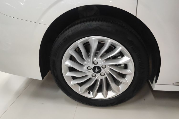 岚图汽车 岚图梦想家 2022款 低碳版 想+智驾包车身外观6008