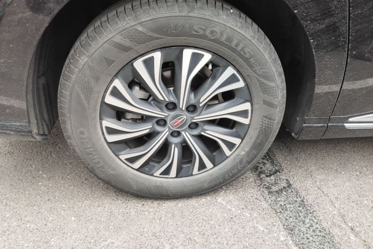 红旗HQ9 PHEV 2024款 2.0T 四驱豪华版车身外观6008