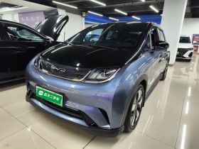 比亚迪 海豚 2023款 401km 骑士版