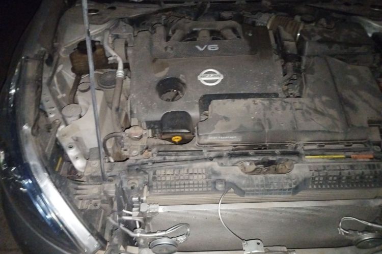 日产 天籁 2011款 2.5L XL领先版局部细节9006