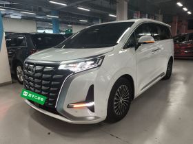 腾势D9 2022款 DM-i 970 四驱旗舰型