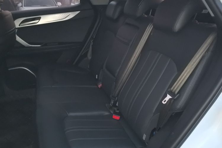 东南DX7 2019款 1.5T 自动智联旗舰版 国VI中控内饰21