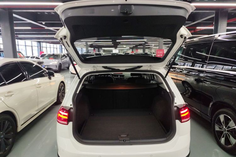 大众 高尔夫(进口) 2019款 1.8TSI 旅行版局部细节23