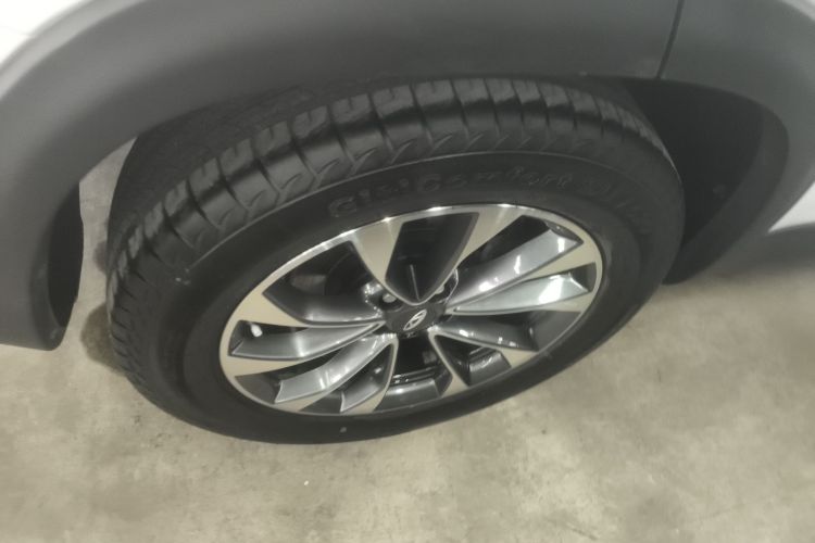 奇瑞 瑞虎7 2020款 FLY款 1.5T DCT 商务专供版车身外观6008