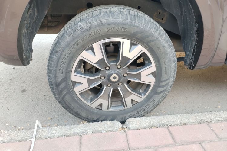 长城 炮 2019款 2.0T自动汽油两驱舒适版GW4C20B车身外观6008