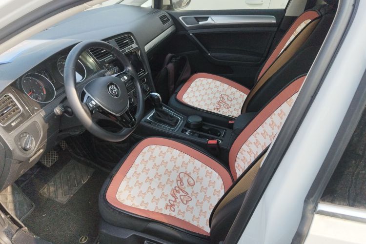 大众 高尔夫 2019款 1.6L 自动舒适型 国V中控内饰19