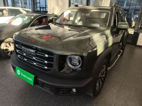 哈弗大狗 2021款 1.5T DCT两驱拉布拉多版