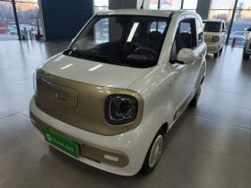 奔腾小马 2025款 222km 闪电马