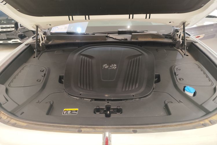 红旗E-HS9 2021款 510km 旗领版 四座机舱底盘24